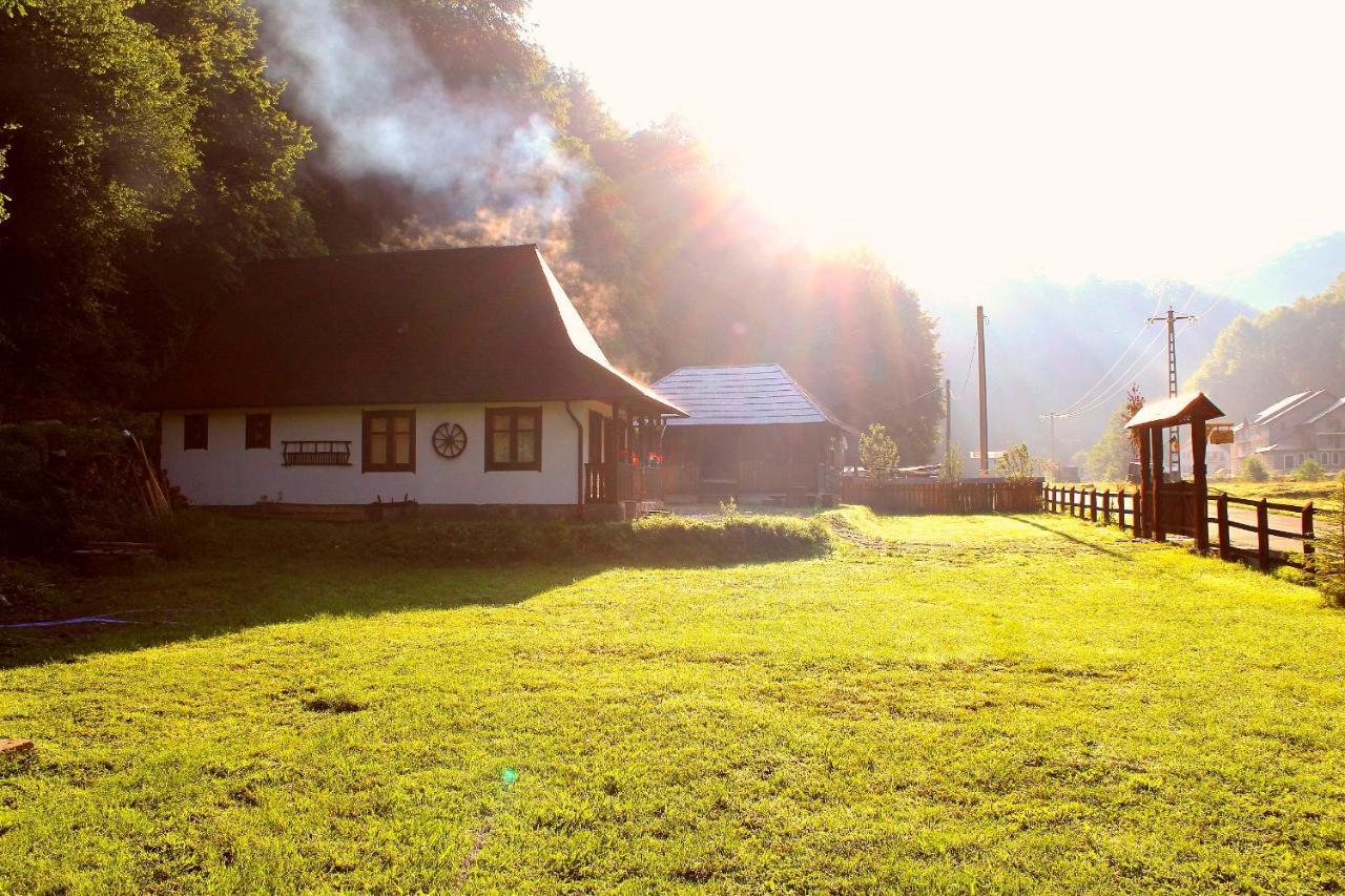Casuta Din Valea Regilor Villa Gradistea de Munte Esterno foto
