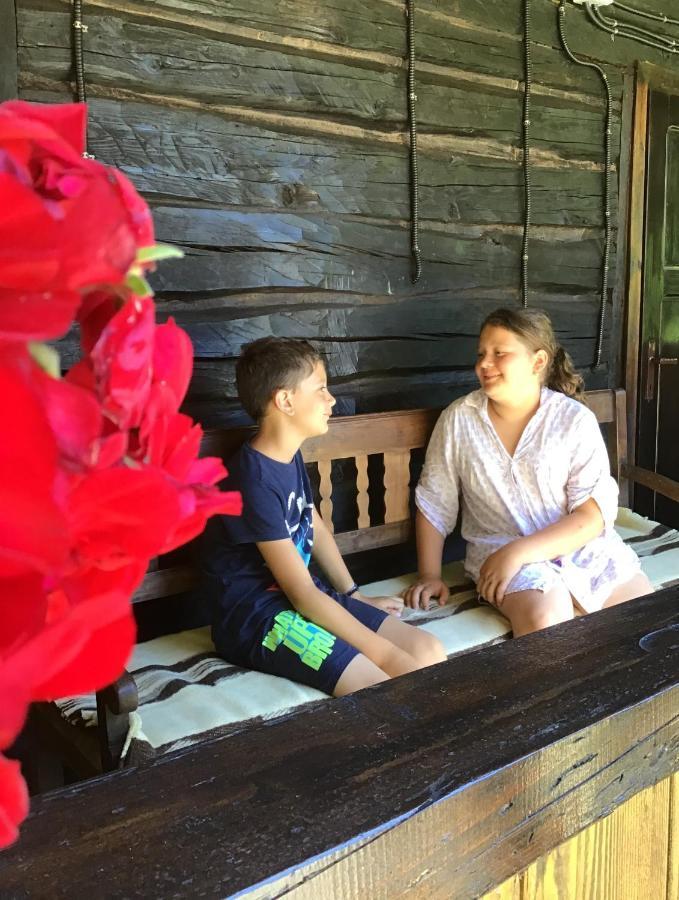 Casuta Din Valea Regilor Villa Gradistea de Munte Esterno foto