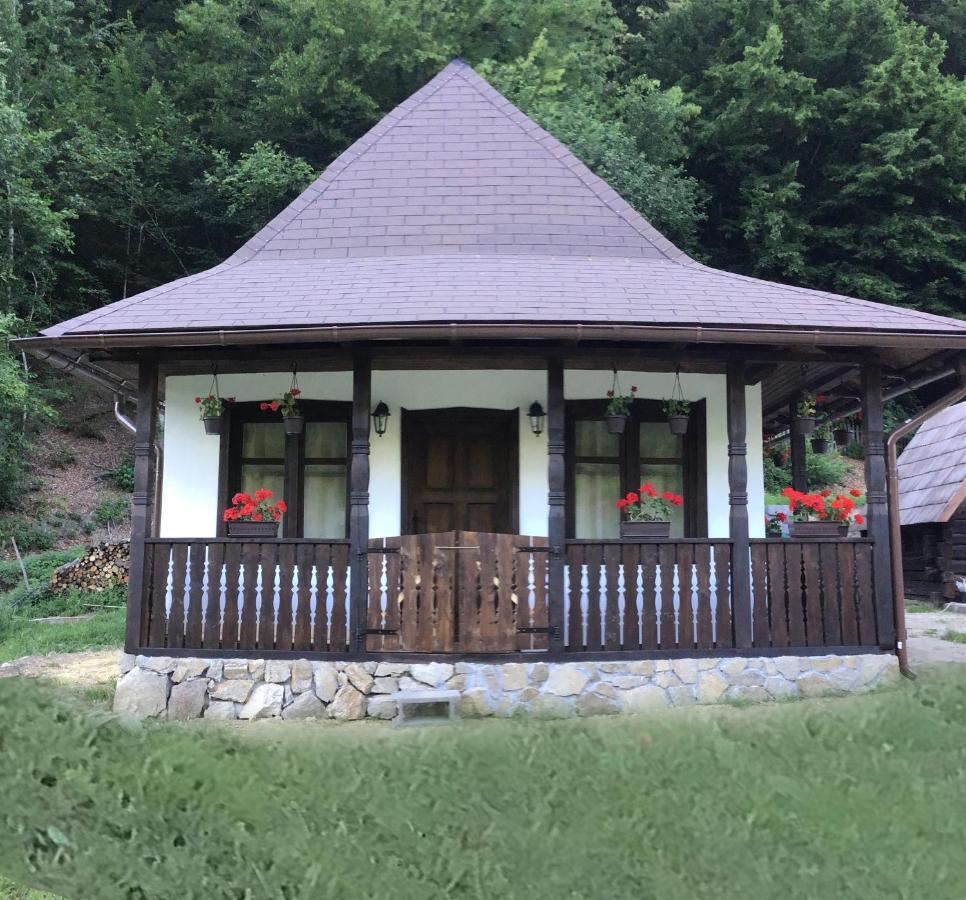 Casuta Din Valea Regilor Villa Gradistea de Munte Esterno foto