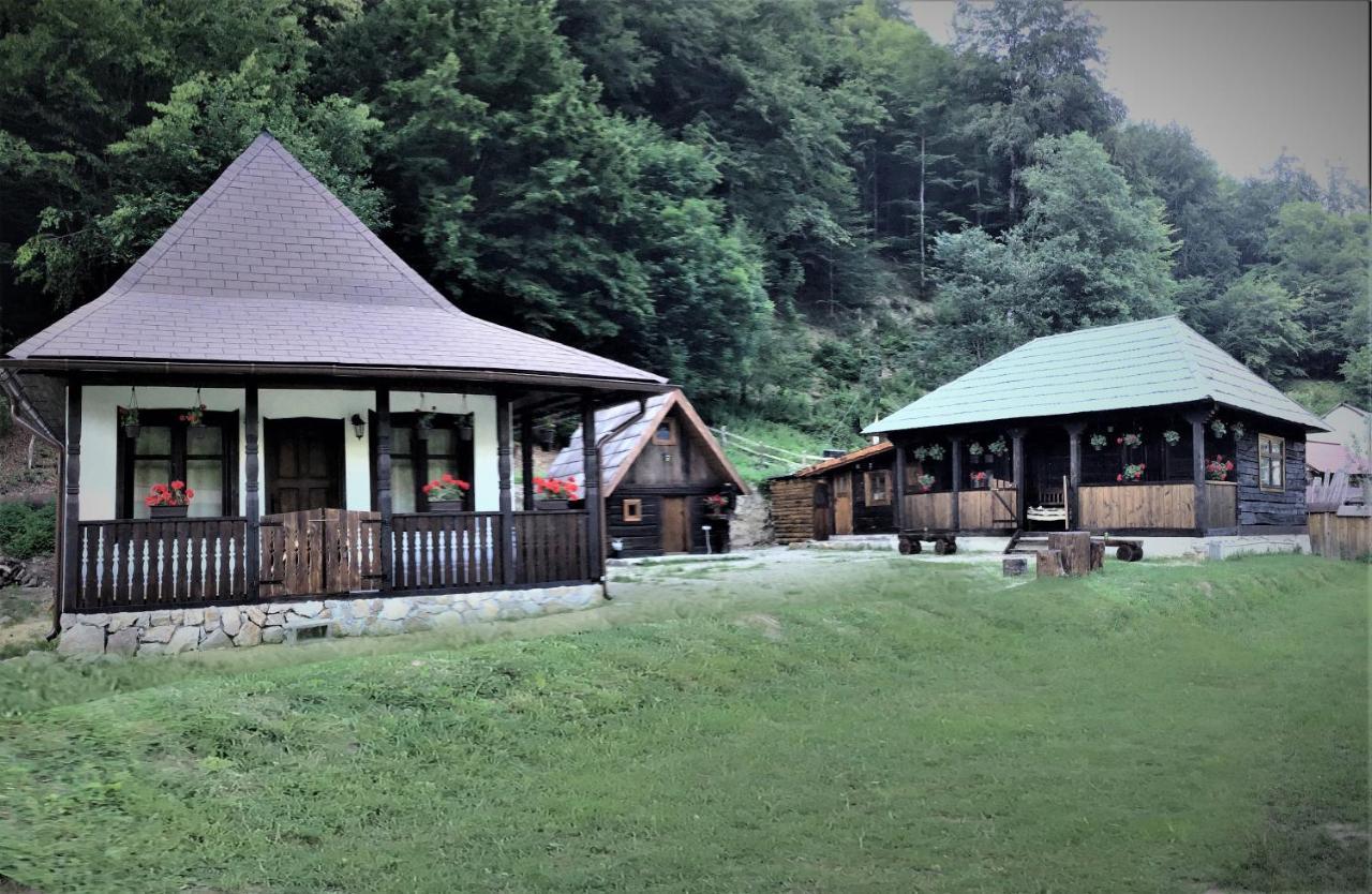 Casuta Din Valea Regilor Villa Gradistea de Munte Esterno foto