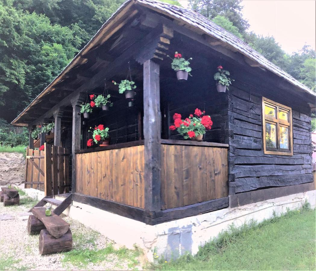 Casuta Din Valea Regilor Villa Gradistea de Munte Esterno foto
