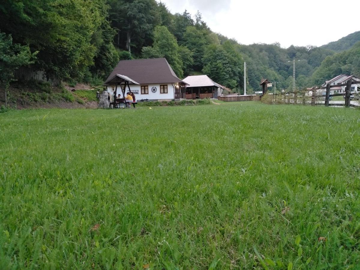 Casuta Din Valea Regilor Villa Gradistea de Munte Esterno foto