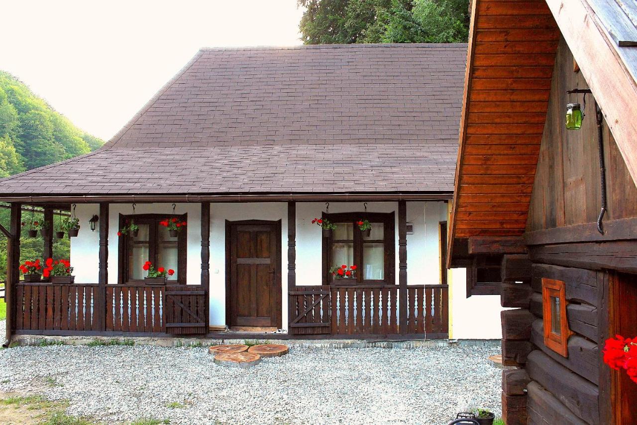 Casuta Din Valea Regilor Villa Gradistea de Munte Esterno foto