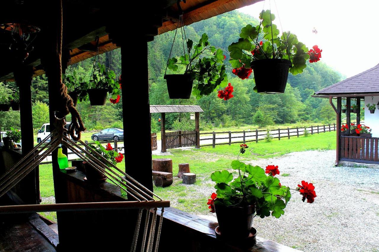 Casuta Din Valea Regilor Villa Gradistea de Munte Esterno foto