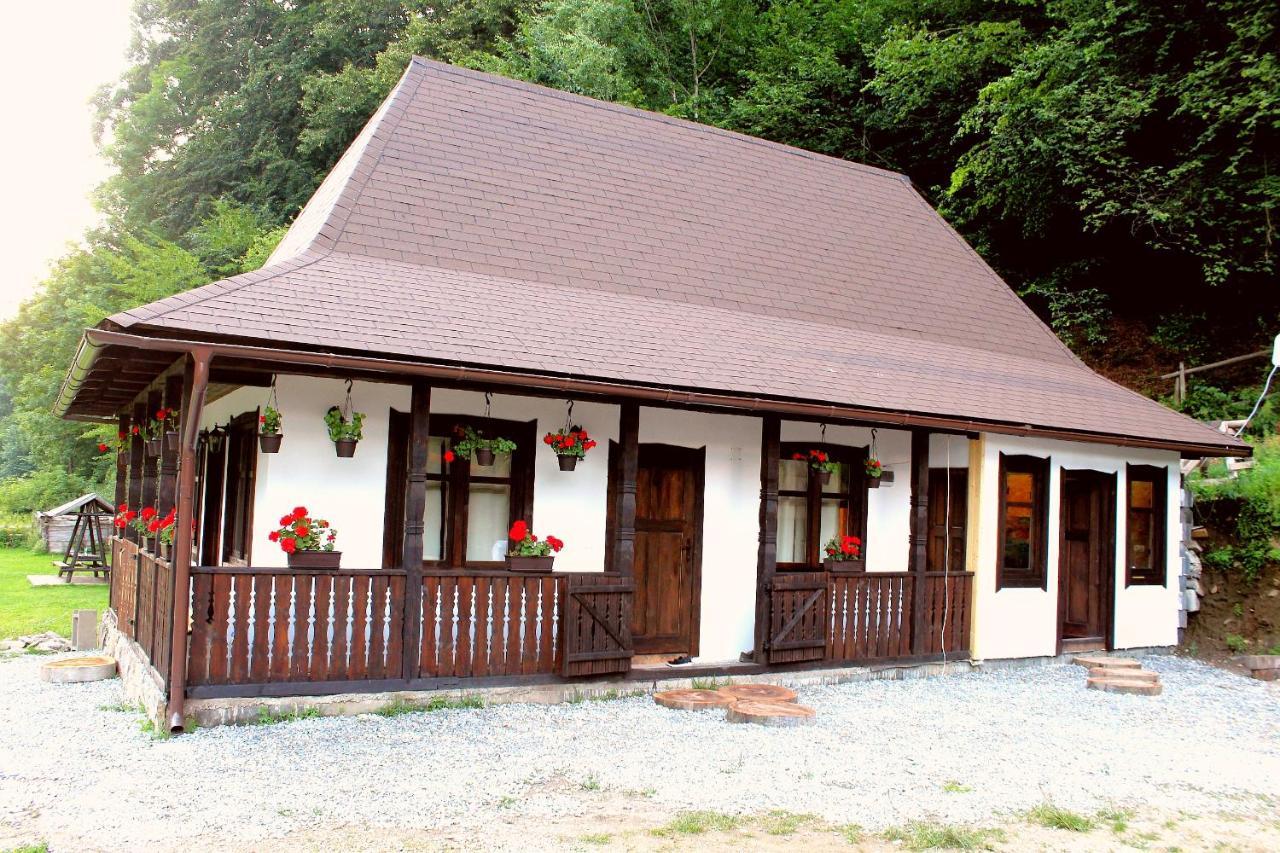 Casuta Din Valea Regilor Villa Gradistea de Munte Esterno foto