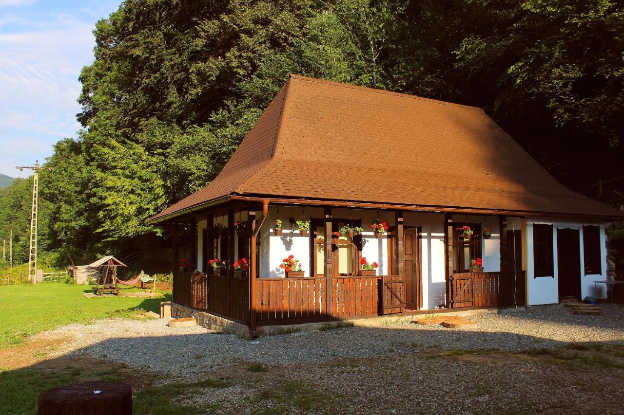 Casuta Din Valea Regilor Villa Gradistea de Munte Esterno foto