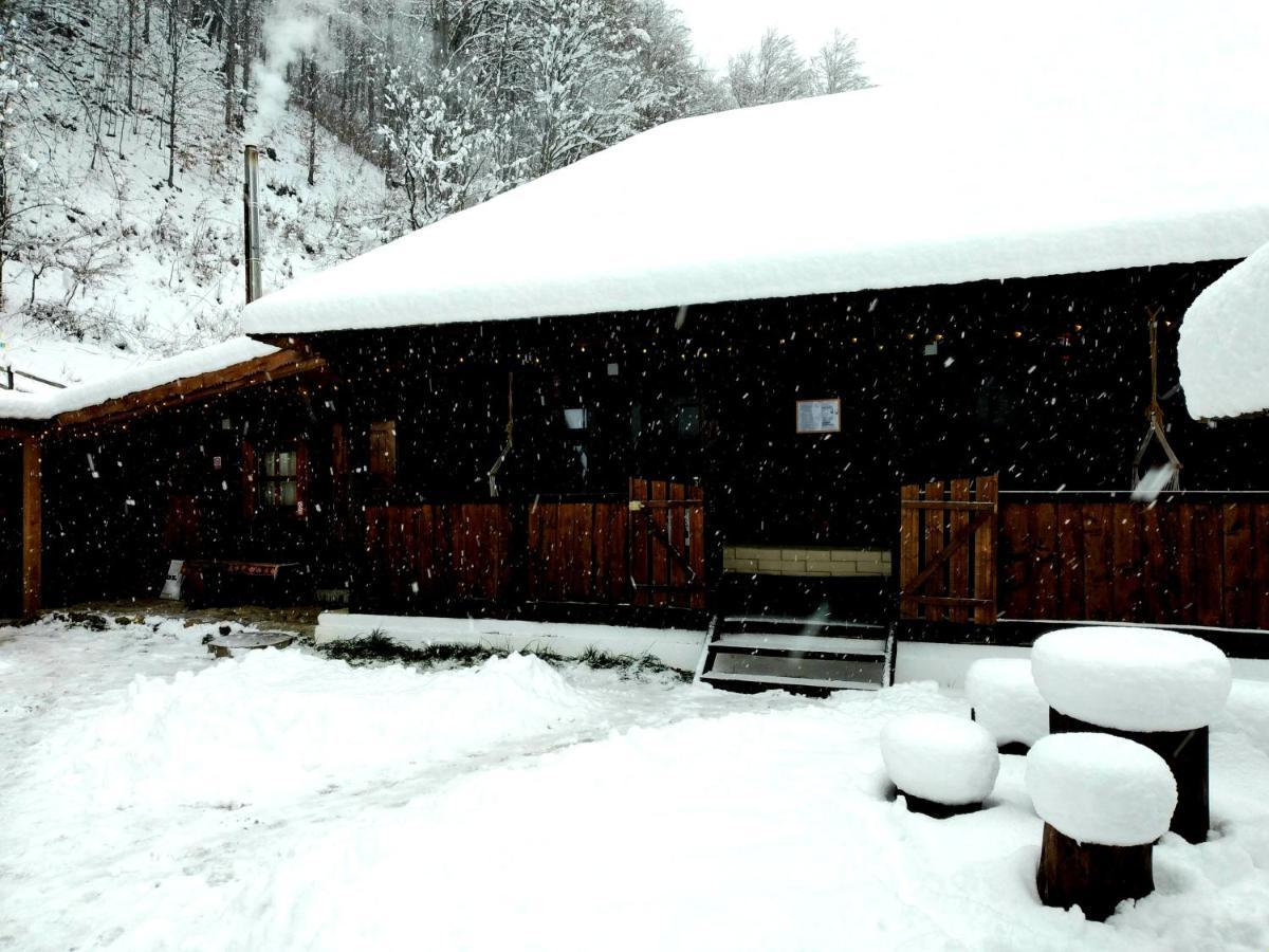 Casuta Din Valea Regilor Villa Gradistea de Munte Esterno foto
