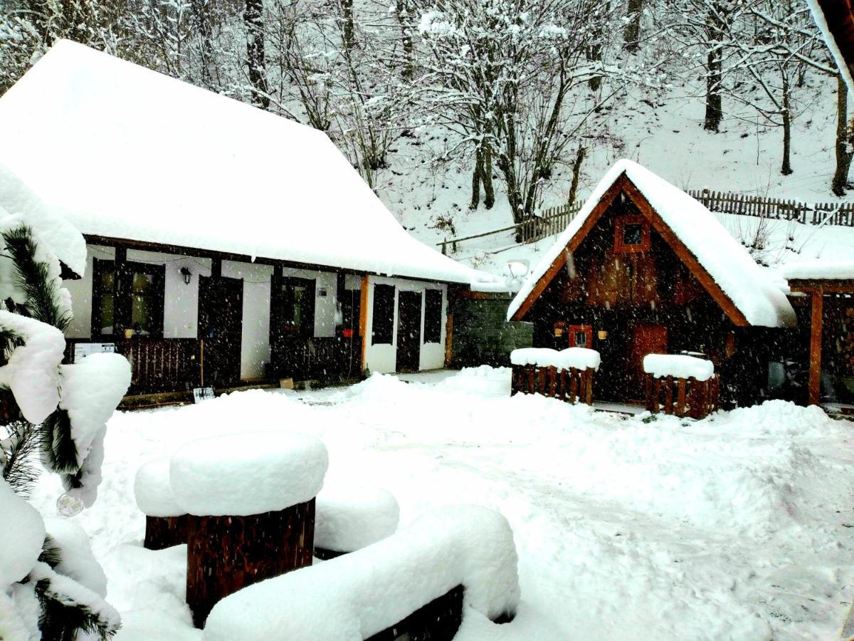 Casuta Din Valea Regilor Villa Gradistea de Munte Esterno foto