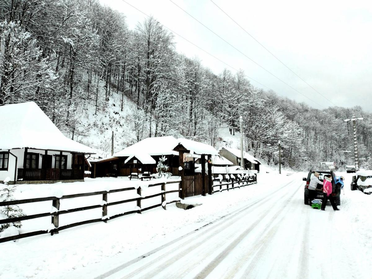 Casuta Din Valea Regilor Villa Gradistea de Munte Esterno foto