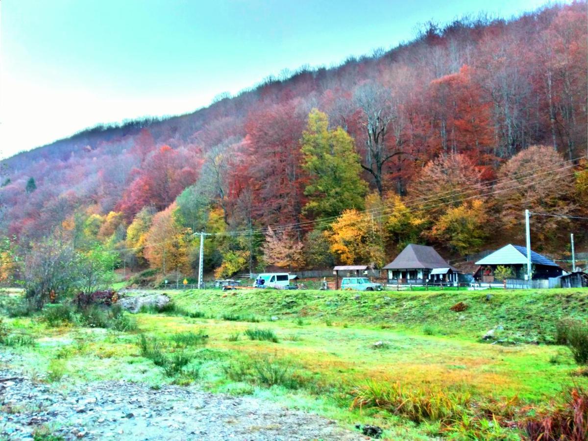Casuta Din Valea Regilor Villa Gradistea de Munte Esterno foto