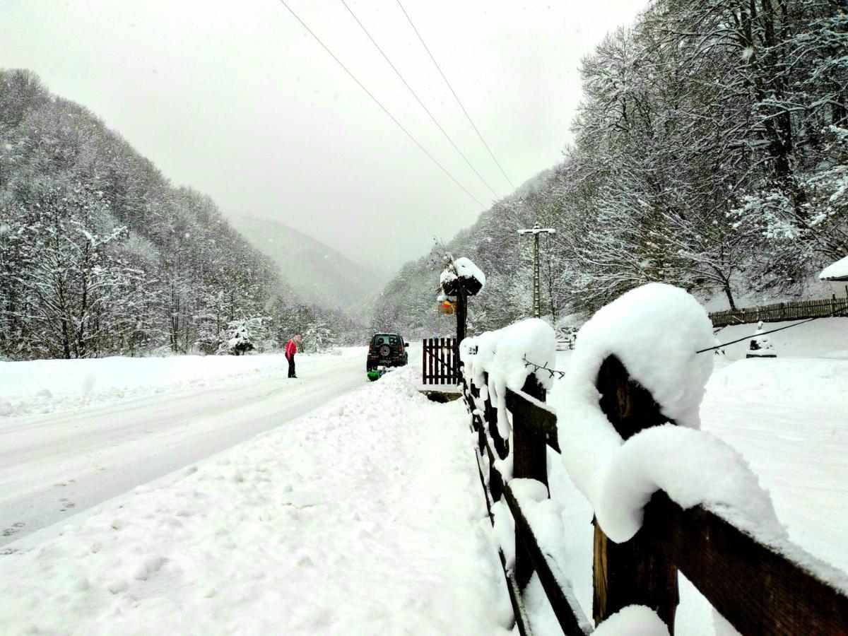 Casuta Din Valea Regilor Villa Gradistea de Munte Esterno foto