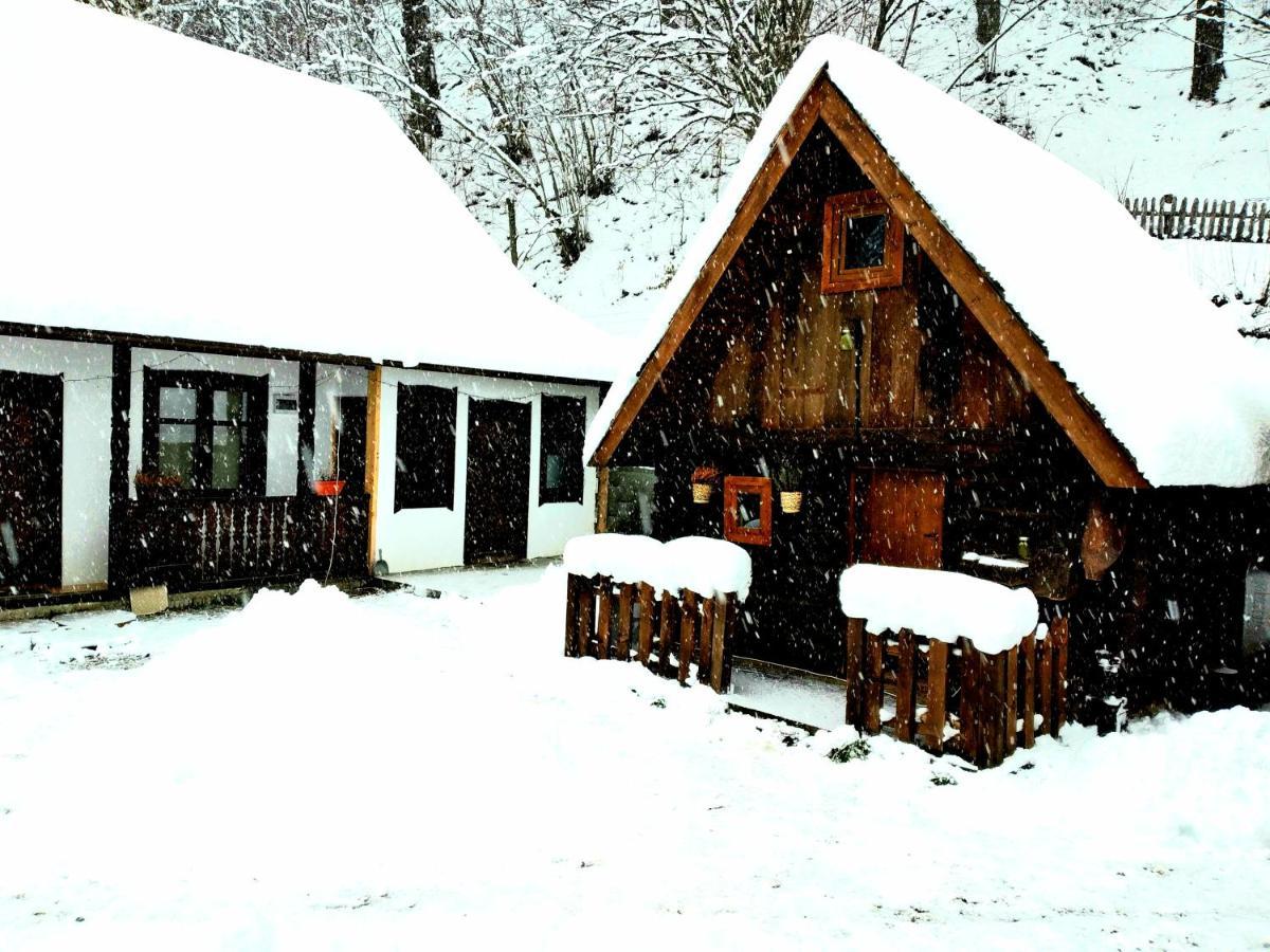 Casuta Din Valea Regilor Villa Gradistea de Munte Esterno foto