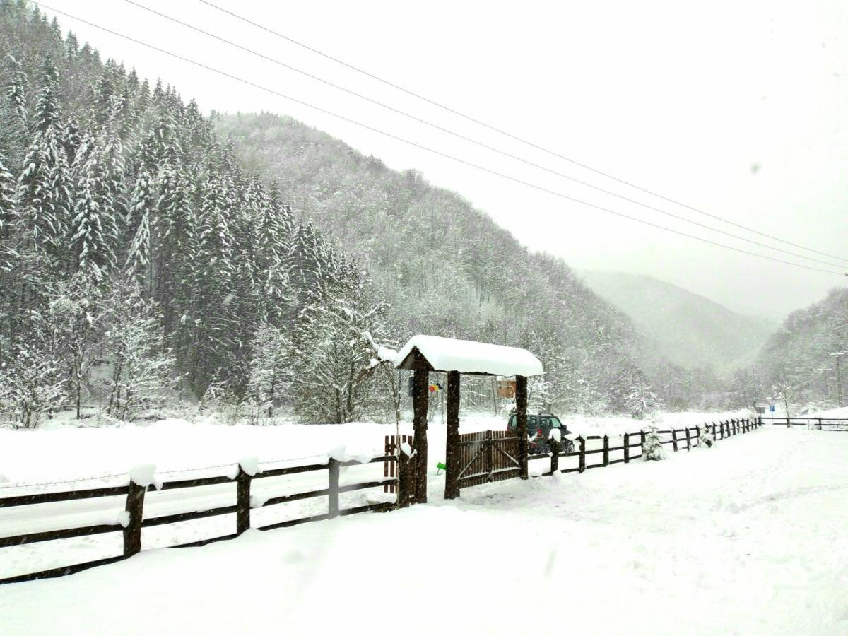 Casuta Din Valea Regilor Villa Gradistea de Munte Esterno foto